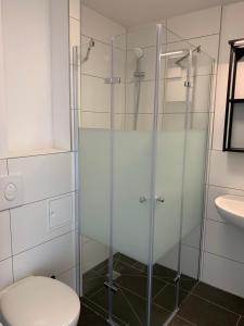 a bathroom with a shower with a toilet and a sink at Gatterhalle Zimmervermietung in Fürstenberg