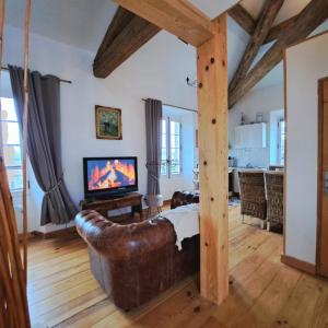 a living room with a couch and a television at La Maison du Canal- vue Canal- L'ère du Temps in Homps