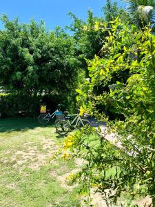 a bike parked in the grass next to trees at Lucy's guesthouse in La Digue