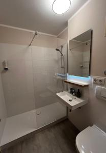 a bathroom with a shower and a sink and a toilet at Apartments Urlaub im Chiemgau in Aschau im Chiemgau