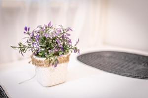 a potted plant sitting on top of a table at CENTRAL & AFFORDABLE by JR City Apartments in Vienna