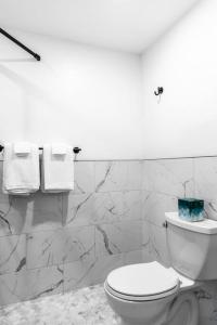 ein Badezimmer mit einem weißen WC und Marmorwänden in der Unterkunft The Phenix, Historic Bldg, King Bed, Room # 305 in Bangor