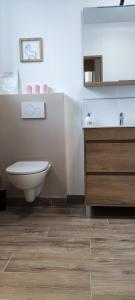 a bathroom with a toilet and a sink at Le gîte de la vieille pierre 'climatisé' in Allex