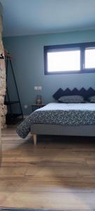 um quarto com uma cama com uma parede azul em Le gîte de la vieille pierre 'climatisé' em Allex