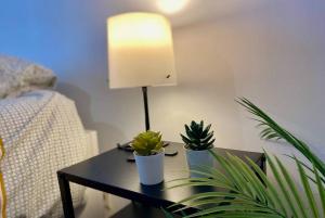 a table with two plants on it with a lamp at Le Carmen - terrace - garage in Nîmes