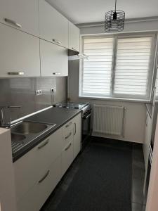 Кухня или мини-кухня в Marc Apartament
