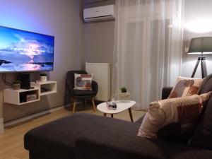 un soggiorno con divano e TV a schermo piatto di Axd DownTown Spacious Lux Apartment a Alexandroupoli
