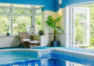 a house with a pool and a chair and a plant at Mireystock Indoor Pool, Games Bar, Spa Steam Cabin in Lydbrook