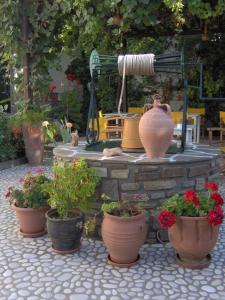 a garden with pots of flowers and a fountain at Eleni Dream Village in Parikia