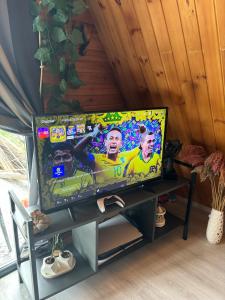 TV a/nebo společenská místnost v ubytování Yalova Kasaba Bungalov