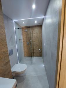 a bathroom with a shower and a toilet in it at Apartamenty Jaskółcza in Bydgoszcz