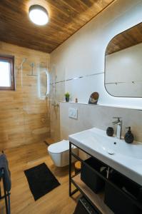 Apartmán C1 - Slovenský Raj في هرابوشيتس: حمام مع حوض أبيض ومرحاض