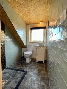een badkamer met een toilet en een raam bij Het Zwaluwnest in De Vecht