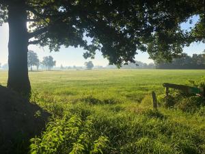 een parkbankje onder een boom in een veld bij Het Zwaluwnest in De Vecht