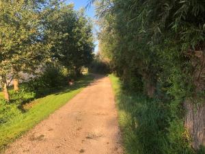 een onverharde weg met bomen aan beide zijden bij Het Zwaluwnest in De Vecht