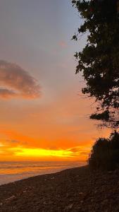 a sunset on a beach with a tree at V & E Home Stay Cimaja Beach in Cimaja
