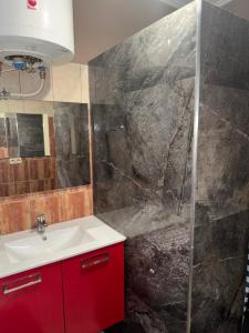 ein Bad mit einem roten Waschbecken und einer Dusche in der Unterkunft Hôtel Rozafa in Charleroi