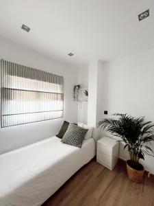 Dormitorio blanco con cama y maceta en Cosy Trinidad, en Málaga