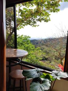 a window with a table and some plants in a room at Casa de descanso Villa Serena in Grecia