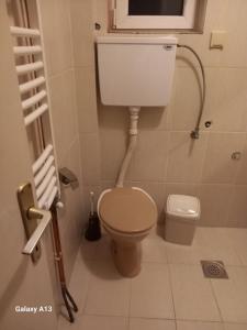 ein kleines Bad mit WC und Waschbecken in der Unterkunft Apartmani Pavlov in Aranđelovac