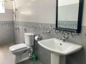 bagno con lavandino, servizi igienici e specchio di Queen's Villa a Habaraduwa Central