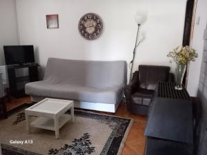 ein Wohnzimmer mit einem Sofa und einem Stuhl in der Unterkunft Apartmani Pavlov in Aranđelovac