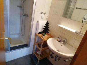 a bathroom with a sink and a toilet and a shower at Ferienwohnung Waldrausch in Baiersbronn