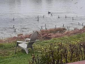 Φωτογραφία από το άλμπουμ του Waterside Apts. σε Cardigan