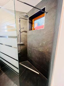 ein Bad mit einer Dusche und einer Glastür in der Unterkunft Boutique Apartment in Lenzkirch