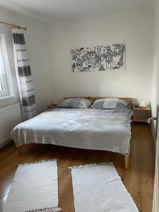 een slaapkamer met een bed en twee tapijten op de vloer bij Apartmány Potůčky in Potŭčky