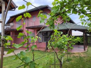 Zahrada ubytování Apartmani Tina - Srebrno jezero