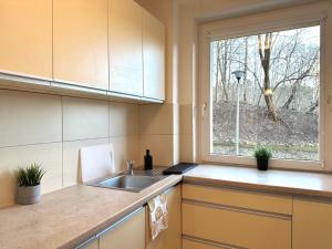 kuchnia ze zlewem i oknem w obiekcie MMRent Przytulny apartament w Sopocie w mieście Sopot