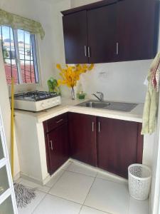 a kitchen with a sink and a stove at Casa Vasquez in San Felipe de Puerto Plata