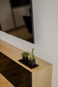 Fotografie z fotogalerie ubytování Apartman Metković City v destinaci Metković