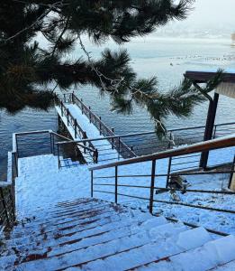 eine verschneite Treppe zum Wasser mit einem schneebedeckten Baum in der Unterkunft Art of Harmony in Piatra Neamţ