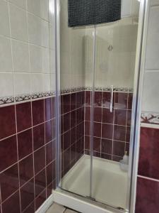 a shower with a glass door in a bathroom at Greenview in Ballysheedy