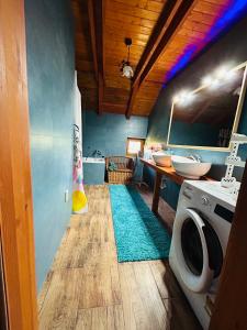 een badkamer met een wastafel en een wasmachine bij Borkert Panzió 