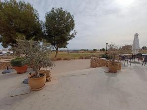 a patio with potted trees and a table and umbrella at Villa Mara Valle Golf Resort in Murcia