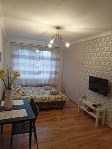 1 dormitorio con 1 cama, TV y mesa en Apartament GUNER, en Bełchatów