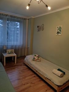 貝烏哈圖夫的住宿－Apartament GUNER，窗户客房内的一张床位