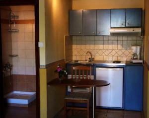 A kitchen or kitchenette at Alexandros Studios & Apartments