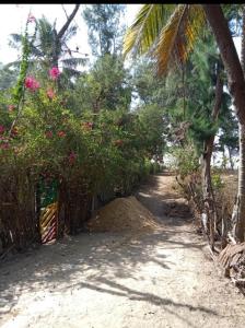 eine unbefestigte Straße mit Bäumen und Blumen darauf in der Unterkunft Chez Bethy Jungle et Océan in Abémé