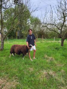a man standing next to a brown sheep in a field at Apartment am Innradweg in Gars am Inn