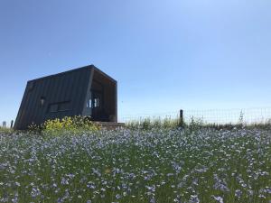 una casa negra en un campo de flores en Slapen op de Dijk - Tiny House, en Kraggenburg