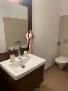 班斯卡-比斯特里察Apartmán Pistácia 2 priame centrum BB的带白色水槽和马桶的浴室 更多16张照片