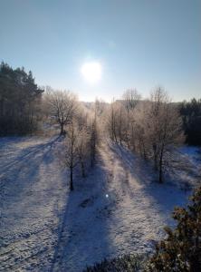 an aerial view of a snow covered field with trees at Gospodarstwo Agroturystyczne w Łoskoniu Starym 