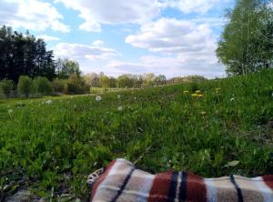 a blanket in a field of grass with flowers at Gospodarstwo Agroturystyczne w Łoskoniu Starym 