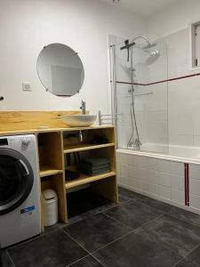ein Badezimmer mit einem Waschbecken, einer Dusche und einer Waschmaschine in der Unterkunft Gîte L’Erable in Haverskerque