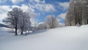uma colina coberta de neve com árvores ao fundo em La Mia Valigia “Casetta Fragolina” em Camigliatello Silano