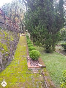 einen Garten mit einer Reihe von Büschen neben einer Mauer in der Unterkunft Chácara dos Pinheiros in São Roque